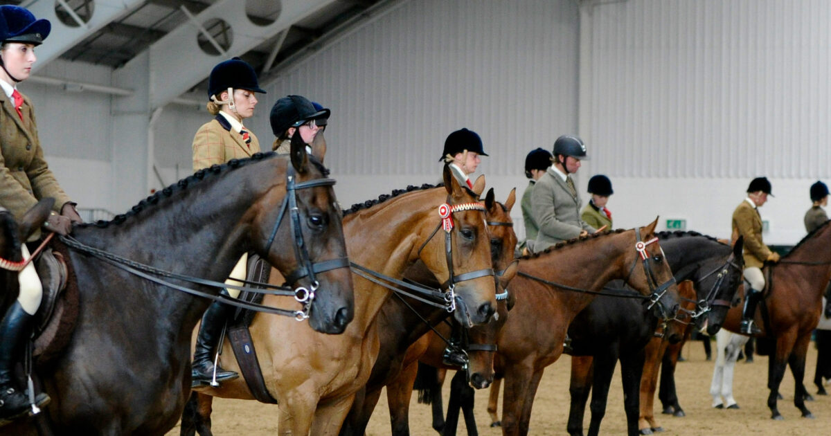 Wiltshire Spring Show at West Wilts Equestrian Centre Retraining of Racehorses