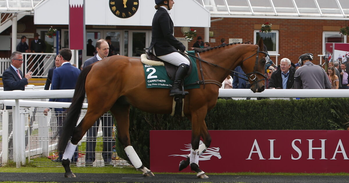 RoR stars to Parade at Newbury before race… Retraining of Racehorses