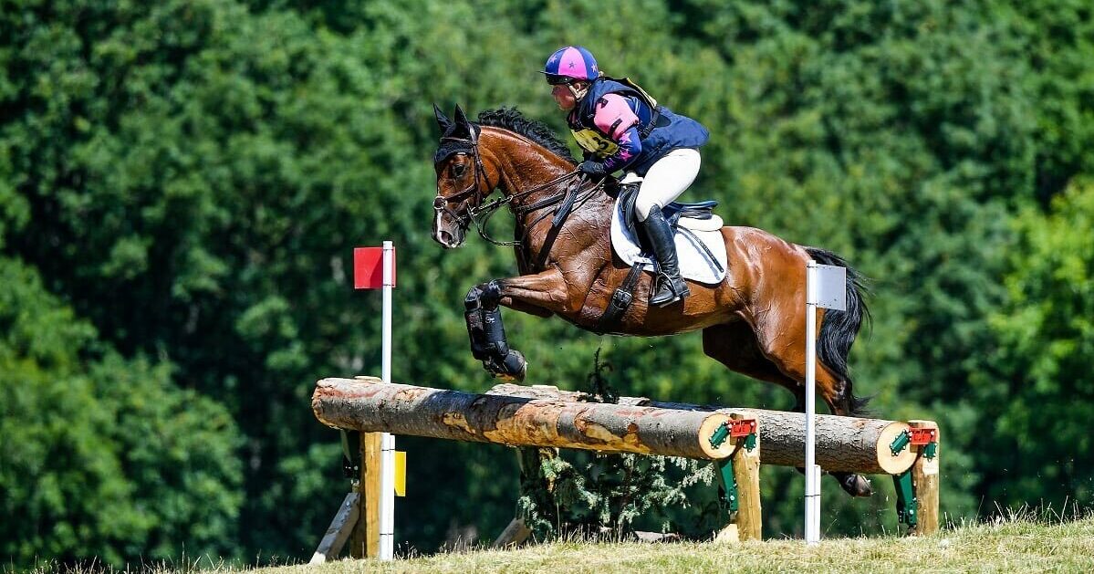 New venue hosts RoR Grassroots Eventing… | Retraining of Racehorses