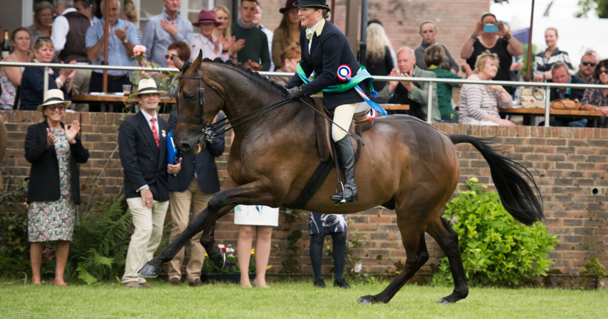 Awesome Freddie bounces back to win at Hickstead Retraining of Racehorses