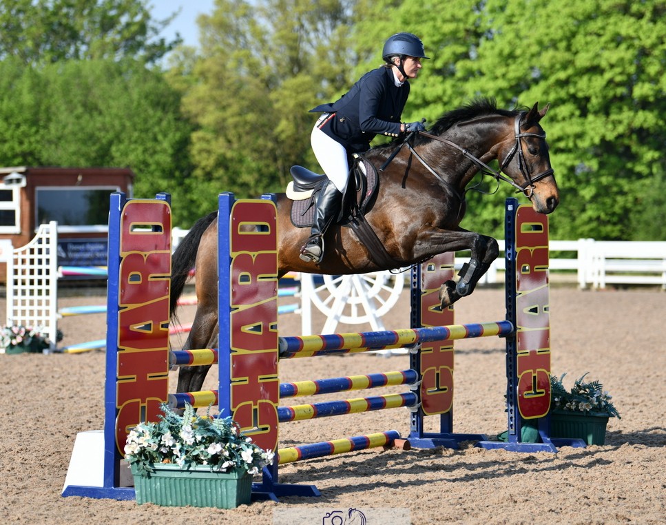 Blade: The horse who chose me
