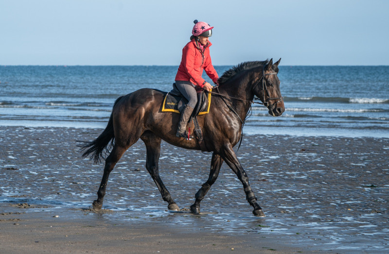 Darcy’s story: from “difficult” to dream horse