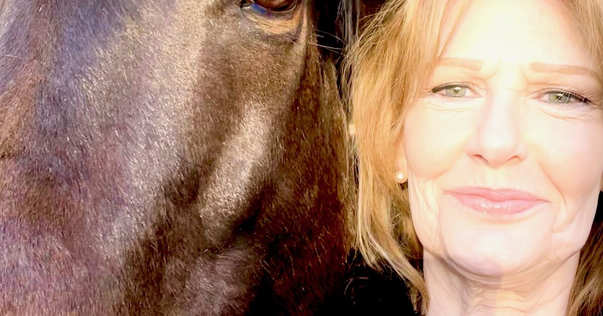 Michele and Waqaas's Story - The story of… | Retraining of Racehorses